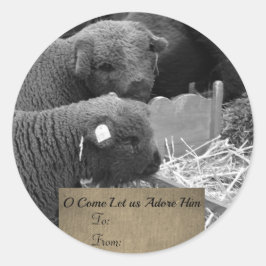 Etiqueta de lambs de navidades
