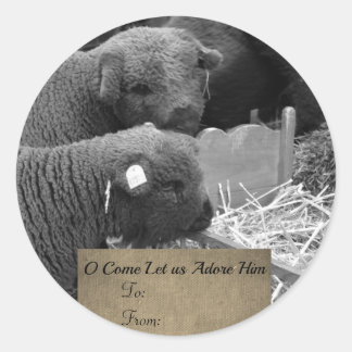 Etiqueta de lambs de navidades
