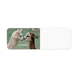 Etiqueta de las alpacas