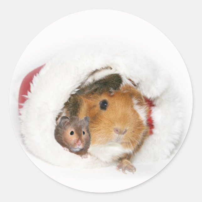 Etiqueta de Navidad animal (Anverso)