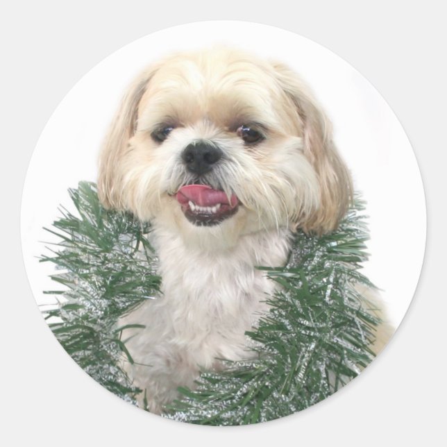 Etiqueta de Navidad Shih Tzu (Anverso)