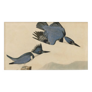Etiqueta De Nombre Ave salvaje Audubon Belt Kingfisher