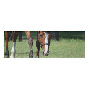 Etiqueta De Nombre Caballo cuarto magnífico
