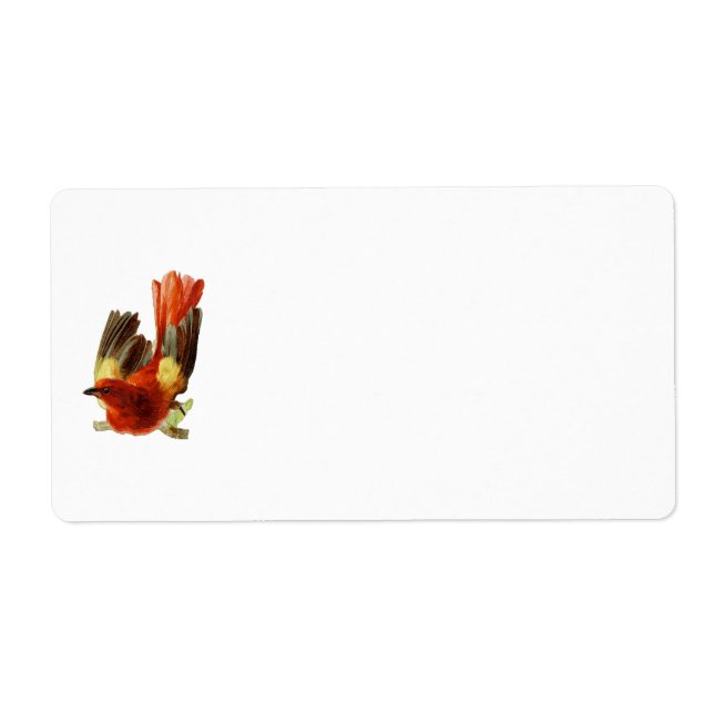 Etiqueta de nombre de colección de aves (Frente)