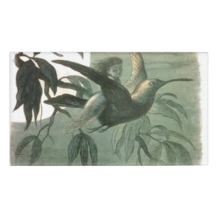 Etiqueta De Nombre Elf Fairies Elves Moon Night Scene Bird Flying