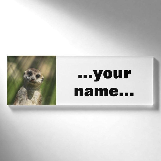 Etiqueta De Nombre Meerkat 034 (Anverso)