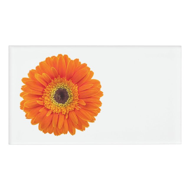 Etiqueta De Nombre Naranja Gerbera Daisy (Anverso)