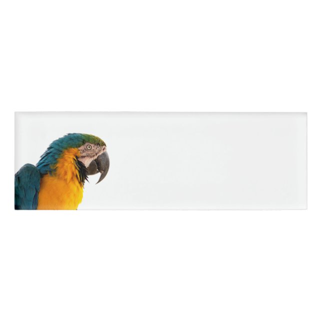 Etiqueta De Nombre Parrot Notes (Anverso)