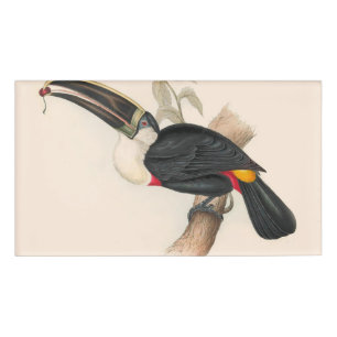 Etiqueta De Nombre Pintura de vida silvestre de aves antiguas de Touc
