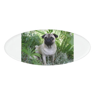 Etiqueta De Nombre pug sentado