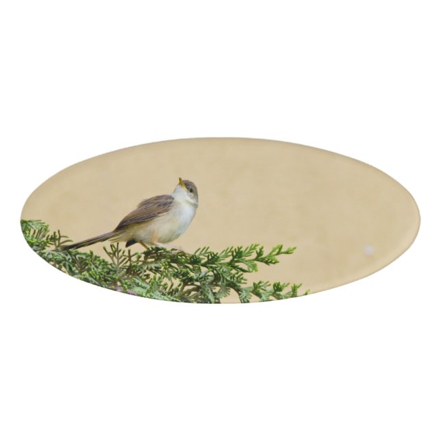 Etiqueta De Nombre Sparrow (Anverso)