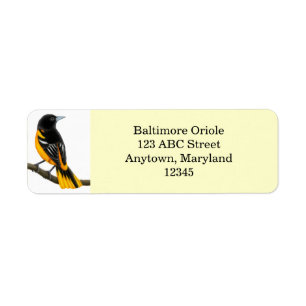 Etiqueta de pájaro de Baltimore Oriole personaliza