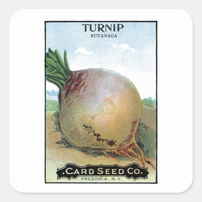 Etiqueta de paquete de semilla de Turnip (Anverso)