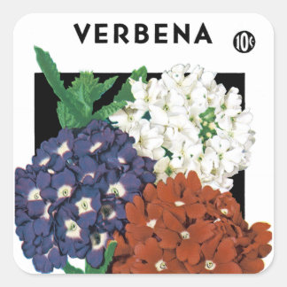 Etiqueta de paquete de semilla de Verbena