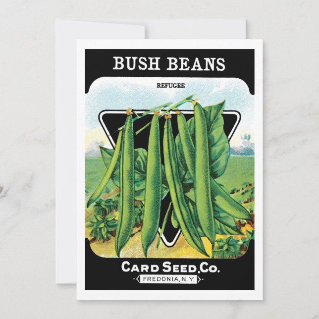 Etiqueta de paquete de semillas de cosecha de vint (Anverso)