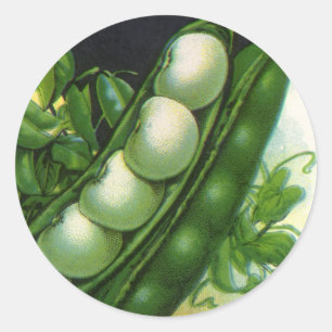 Etiqueta de paquete de semillas de cosecha vintage