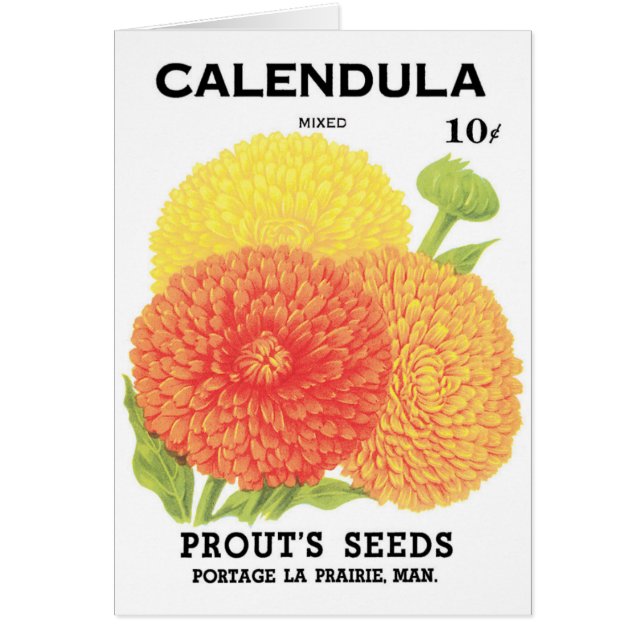 Etiqueta de paquete de semillas de época, flores d (Frente)