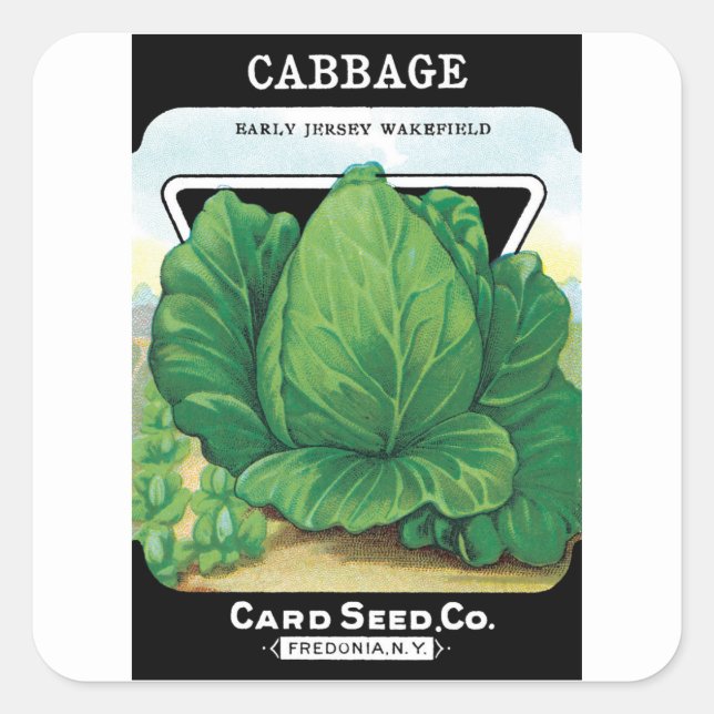 Etiqueta de paquete de semillas de época, repollo  (Anverso)