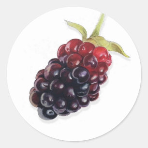 Etiqueta de Pegatina de Mermelada de Mora Realista