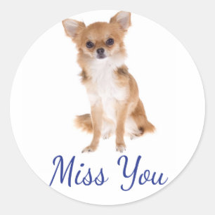 Etiqueta de pegatina de perro cachorro Chihuahua T