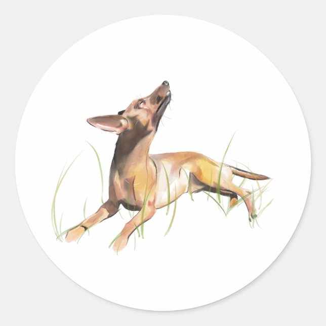 Etiqueta de Pegatina de Pinscher Miniatura (Anverso)