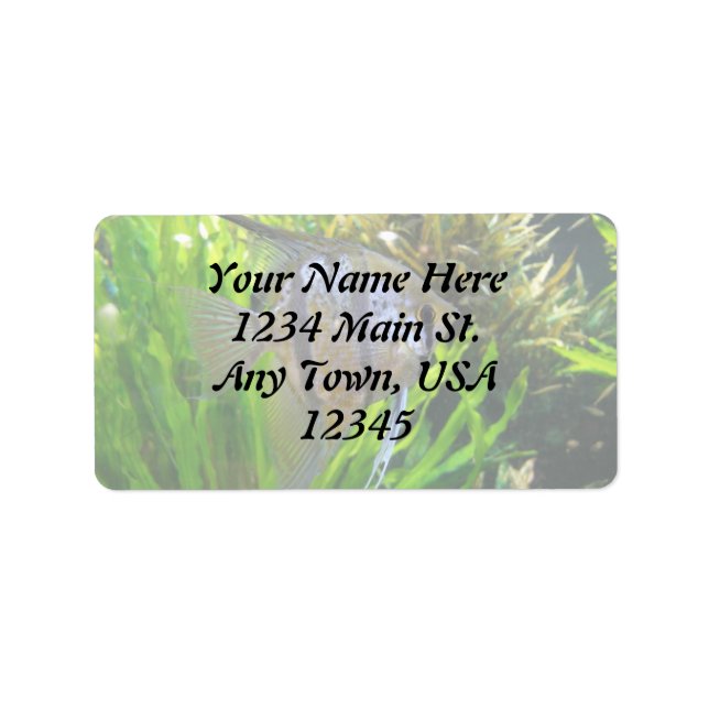 Etiqueta de pez ángel (Frente)