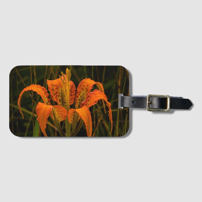 Etiqueta de portaequipajes "Pine Lily" (Anverso horizontal)