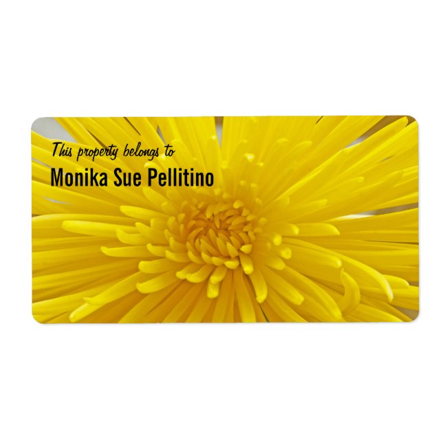 Etiqueta de propiedad fotográfica de Dahlia amaril (Frente)
