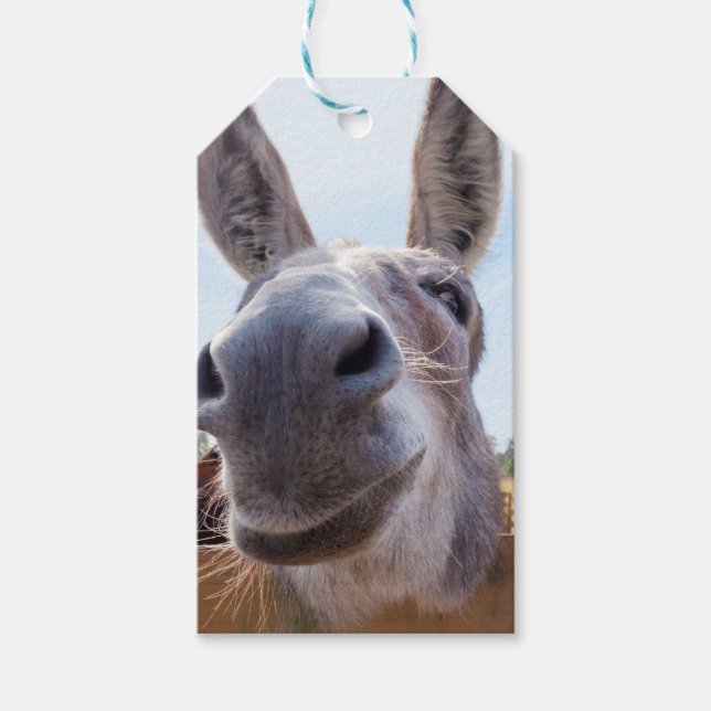 Etiqueta de regalo de burro sonriente (Anverso)