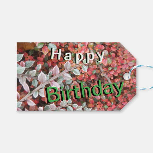 Etiqueta de regalo de cumpleaños personalizada con (Frente (Horizontal))