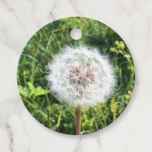 Etiqueta de regalo de Dandelion