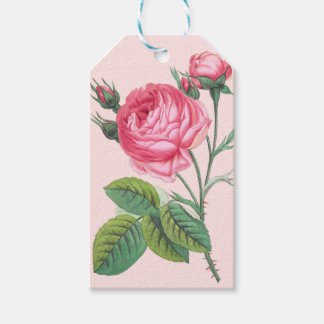 Etiqueta de regalo de flor de rosa rosa