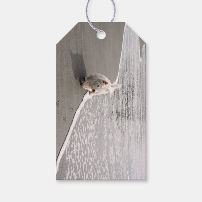 Etiqueta de regalo de fotos para el mar (Anverso)