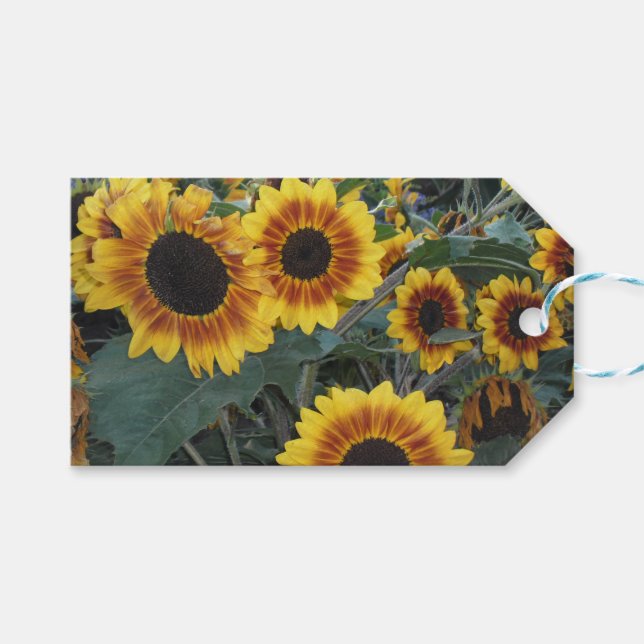 etiqueta de regalo de girasol (Frente (Horizontal))