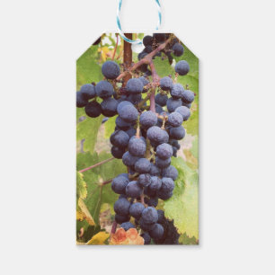 Etiqueta de regalo de Grapevine
