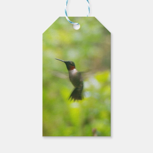 Etiqueta de regalo de Hummingbird (Anverso)