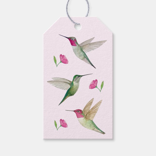 Etiqueta de regalo de Hummingbirds de Anna (Anverso)