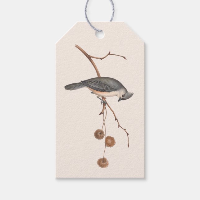 Etiqueta de regalo de invierno rosa y gris minimal (Anverso)