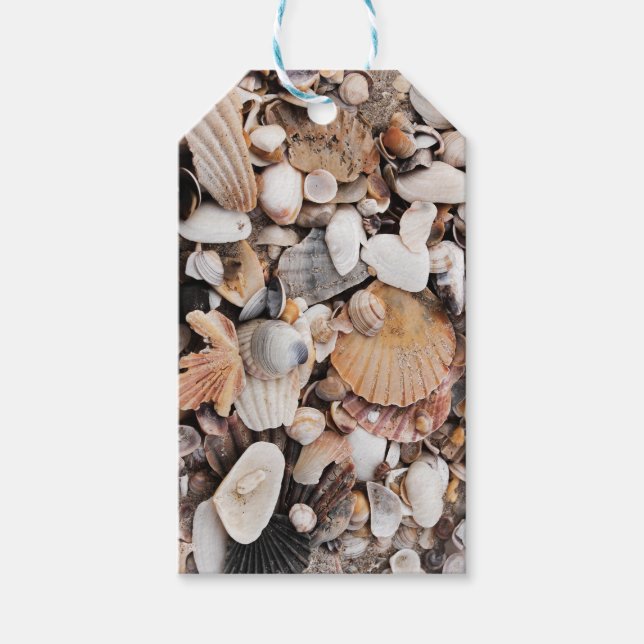 Etiqueta de regalo de las conchas marinas (Anverso)
