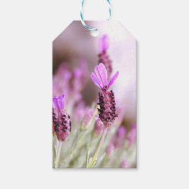 Etiqueta de regalo de Lavender