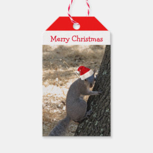 Etiqueta de regalo de los Navidades de la ardilla
