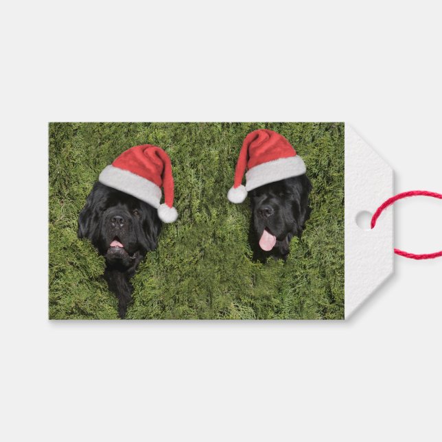 Etiqueta de regalo de los Navidades nota Bear Hair (Frente (Horizontal))