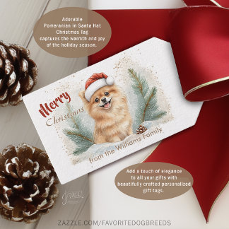 Etiqueta de regalo de Navidad con sombrero de Sant