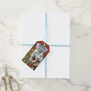 Etiqueta de regalo de tiempo de refrigerio de Koal