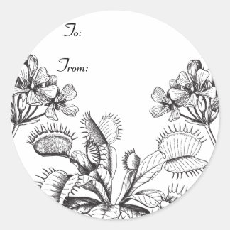 Etiqueta de regalo de Venus Flytrampa
