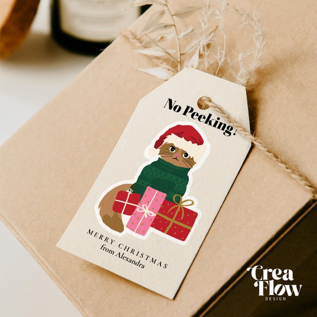 Etiqueta de regalo personalizada de gato para navi (Adorable Personalized Holiday Gift Tags featuring a Grumpy Cat in a Green Christmas Sweater )