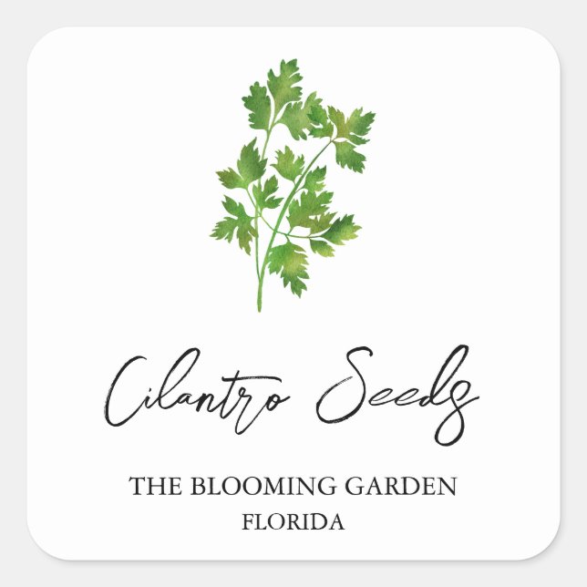 Etiqueta de Semillas de Cilantro (Anverso)