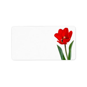 Etiqueta de tulipán