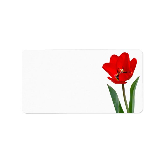 Etiqueta de tulipán (Frente)