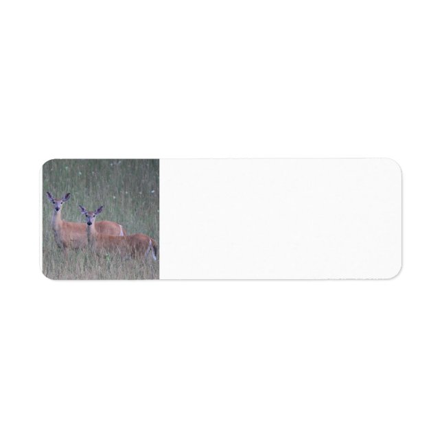 Etiqueta Deer (Frente)